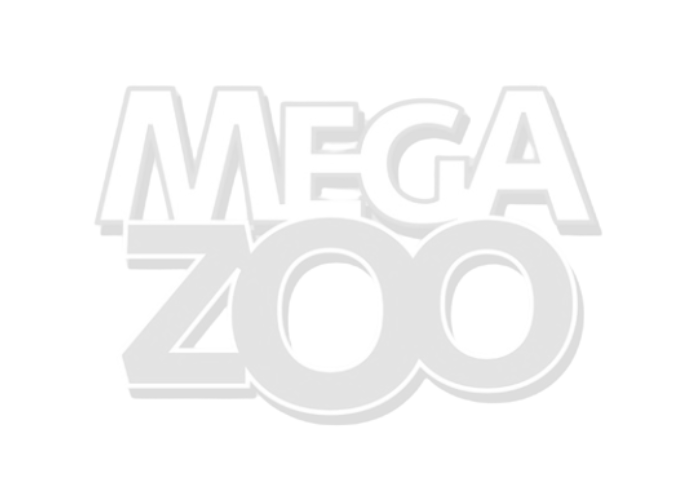logo Mega zoom (1)